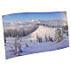 Fondale in tela MyVillage Foresta Invernale XL 150x300 cm s1