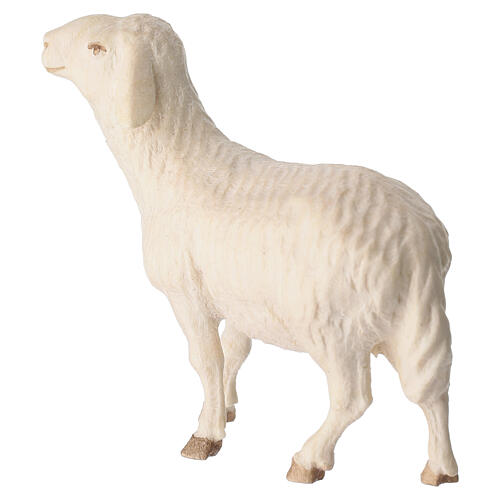 Sheep nativity figurine in double-patinated Val Gardena wood 3
