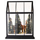 Serra con Babbo Natale e animali 30x25x15 cm Bagutta Tendence s6