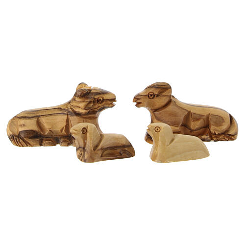 Presepe 11 pz completo e capanna legno d'olivo Terrasanta 15x25x15 cm 7