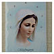 Our Lady of Medjugorje painting in light blue s2
