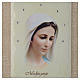 Our Lady of Medjugorje painting with ivory sky s2