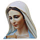 Our Lady of Medjugorje image with golden reflections s1