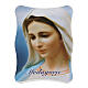 Our Lady of Medjugorje picture in glass ceramic 8x6 cm s1