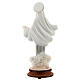 Lady of Medjugorje in reconstituted marble painted 20 cm s5