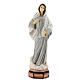 Imagem Nossa Senhora de Medjugorje túnica cinzenta pó de mármore pintado 31,5x10 cm PARA EXTERIOR s1