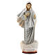 Imagem Nossa Senhora de Medjugorje túnica cinzenta e nuvem pó de mármore pintado à mão 19x8,5 cm s1