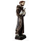 Saint Francis with doves, marble dust statue, 30 cm, OUTDOOR s4