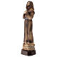 Saint Francis statue in marble dust 25 cm s3