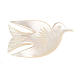 Mother of pearl pin with dove s1