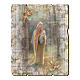 Quadro legno sagomato gancio retro Madonna del Bosco s1