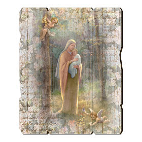 Obraz z drewna zawieszka z tyłu Madonna Bosco 35x30