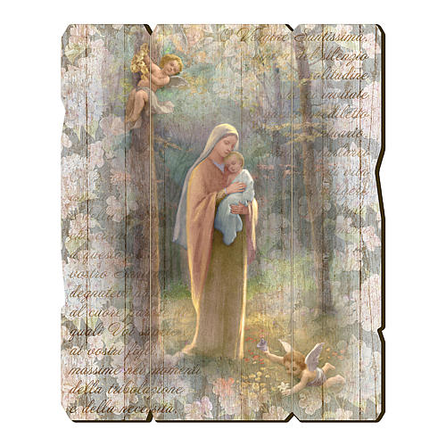 Madonna del Bosco painting in moulded wood with hook on the back 35x30 cm 1