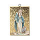 Bedruckte Holzplatte Jungfrau Maria mit Medaille und dem Gebet Orazione Efficacissima s1