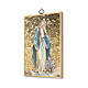 Bedruckte Holzplatte Jungfrau Maria mit Medaille und dem Gebet Orazione Efficacissima s2
