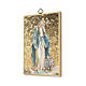Impreso sobre madera Virgen Milagrosa con Medallas Oración muy Eficaz ITA s2
