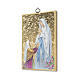 Apparition of Our Lady of Lourdes with Bernardette and Immaculate Conception Novena ITALIAN s2