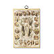 The Misteries of the Holy Rosary woodcut with The Misteries of the Holy Rosary prayer ITALIAN s1