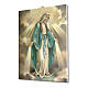 Bild auf Leinwand Jungfrau Maria, 25x20 cm s2