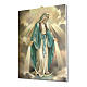 Cuadro sobre tela pictórica Virgen Milagrosa 25x20 cm s2