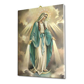 Quadro tela Nossa Senhora da Medalha Milagrosa 40x30 cm