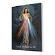Painting on canvas Divine Mercy 25x20 cm s2