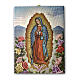 Bild auf Leinwand Unsere Liebe Frau von Guadalupe mit Rosen, 25x20 cm s1