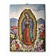 Quadro su tela pittorica Vergine di Guadalupe con le Rose 25x20 cm s1