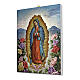 Quadro su tela pittorica Vergine di Guadalupe con le Rose 25x20 cm s2