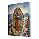 Quadro sobre tela Nsa Sra de Guadalupe com as rosas 25x20 cm s2