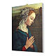 Quadro su tela pittorica Madonna del Lippi 25x20 cm s2