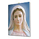 Cuadro sobre tela pictórica Virgen de Medjugorje 25x20 cm s2