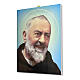 Quadro su tela pittorica Padre Pio 40x30 cm s2