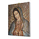 Quadro su tela pittorica Busto della Vergine di Guadalupe 40x30 cm s2