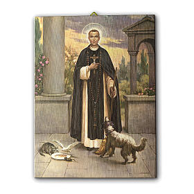 Quadro su tela pittorica San Martin de Porres 40x30 cm