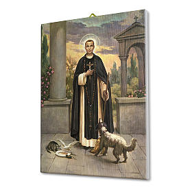 Quadro su tela pittorica San Martin de Porres 40x30 cm