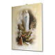 Quadro su tela pittorica Apparizione di Lourdes vintage 70x50 cm s2