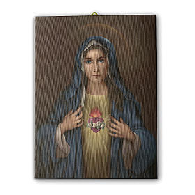 Cuadro sobre tela pictórica Corazón Inmaculado de María 40x30 cm