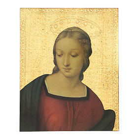 Quadro stampa Madonna del Cardellino 30x25 cm