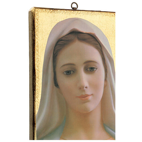 Cuadro impresa Virgen de Medjugorje 25x20 cm 2