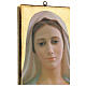 Cuadro impresa Virgen de Medjugorje 25x20 cm s2