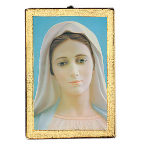 Quadro stampa Madonna di Medjugorie 25x20 cm s1