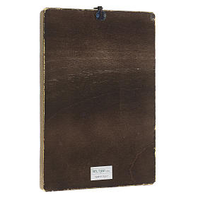 Quadro stampa Madonna di Medjugorie 25x20 cm s3