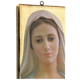 Quadro stampa Madonna di Medjugorie 25x20 cm
