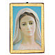Quadro stampa Madonna di Medjugorie 25x20 cm