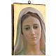 Obraz drukowany Matka Boża z Medjugorje,  25x20 cm s2