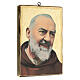 Quadro stampa San Pio 25x20 cm s2