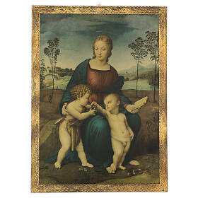 Madonna del Cardellino picture printed on wood 24x17 in