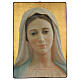 Obraz drukowany Matka Boska z Medjugorje, 70x50 cm s1