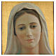 Obraz drukowany Matka Boska z Medjugorje, 70x50 cm s2